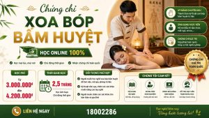 Khoá học cấp chứng chỉ xoa bóp bấm huyệt – vật lý trị liệu